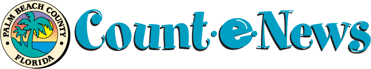 Count-E-News logo